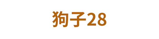 狗子28