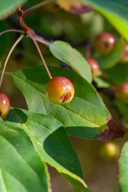 取決於教練 取決於教練