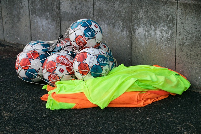 彼岸的一项 彼岸的一项