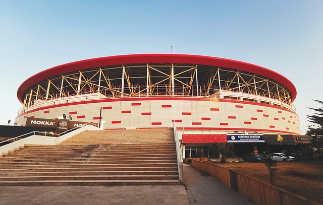 用的结果 用的结果